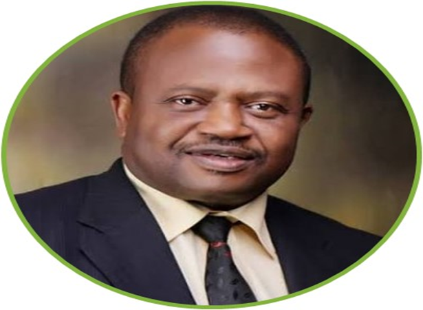 Professor Andrew Ezadueyan Zamani